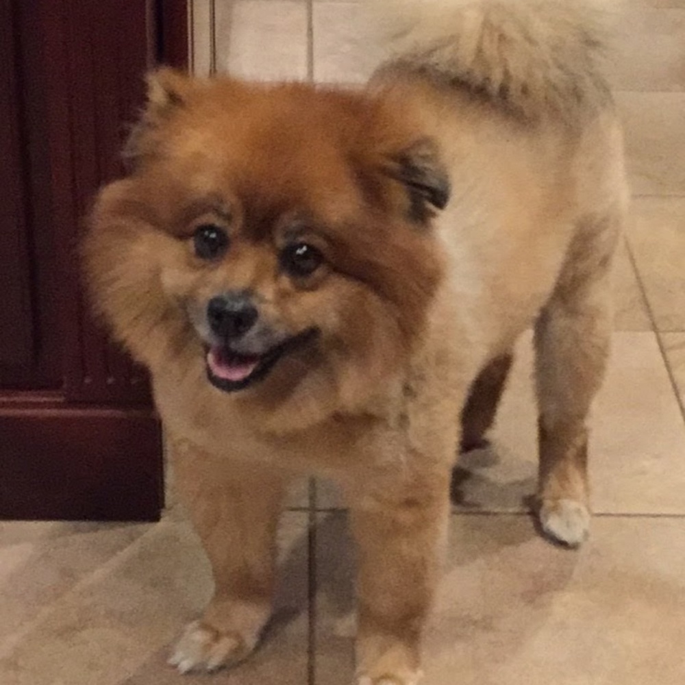 Meet Your Posher, Erin!